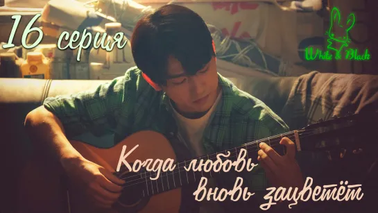 [Ep.16/16] When My Love Bloom/Когда любовь вновь зацветёт