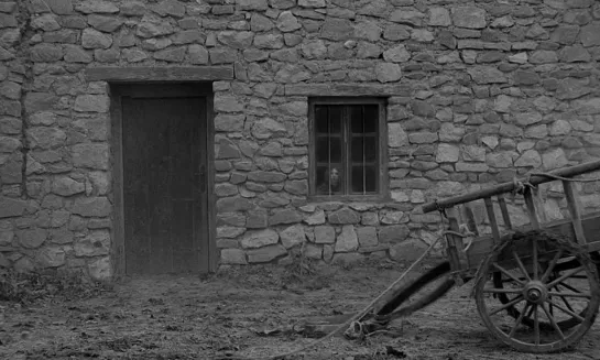 Туринская лошадь / A Torinói ló / The Turin Horse