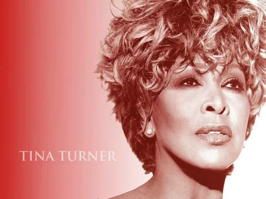 TINA TURNER ♫ Something Beautiful Remains