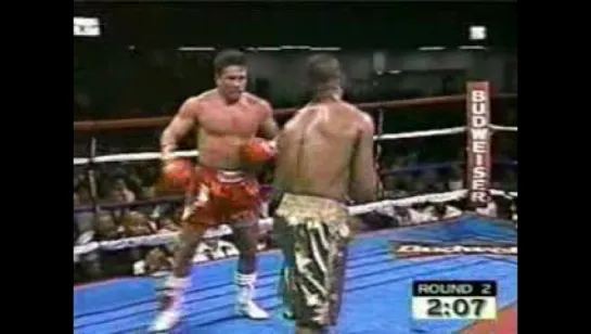 Roy Jones Jr - Vinny Pazienza