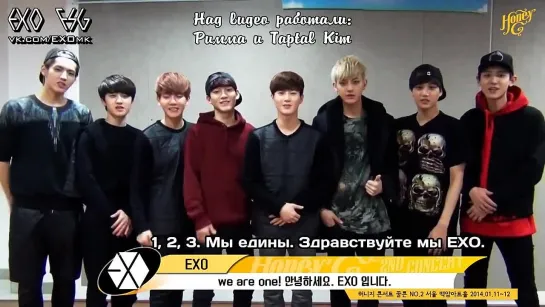 [РУСС. САБ] 140107 EXO Support message for Honey G