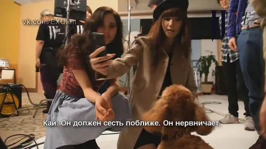 [РУСС. САБ] 120121 [W Live with S.M fashionistas] ЕХО and SNDS