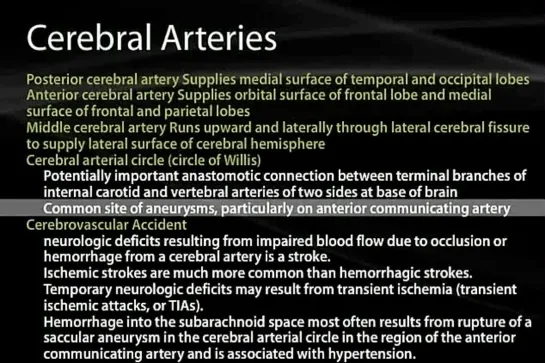 37 Cranial Vault and Cranial Nerves