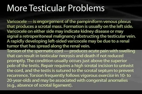 26 Abdominal Wall