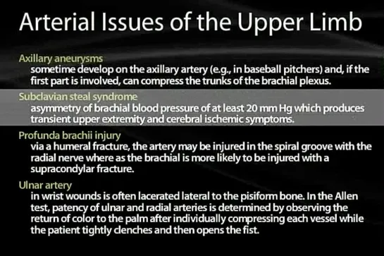 15 Vessels of the Upper Limb