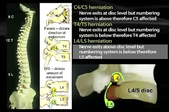 08 Regions of Spine and Curvatures