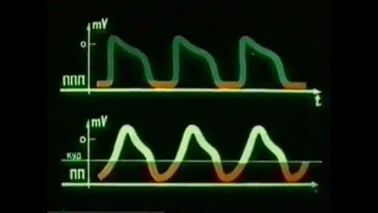 Научфильм. Физиология. Фильм 10. Автоматия сердца