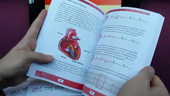 Урок 10. Видеокурс 'ЭКГ под силу каждому' + КНИГА!!!