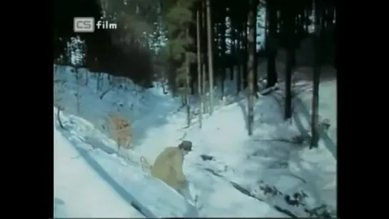 Pověst o stříbrné jedli 1973 Vlacil