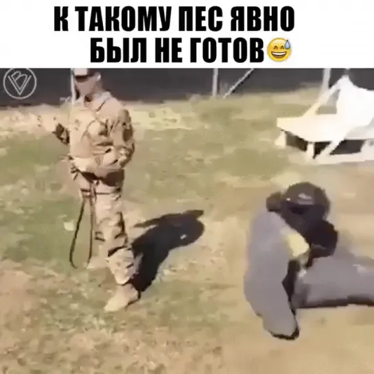 немножко промахнулся