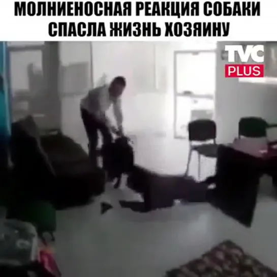 без предупреждения...