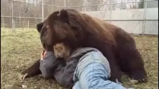 Жениться тебе, барин, надо