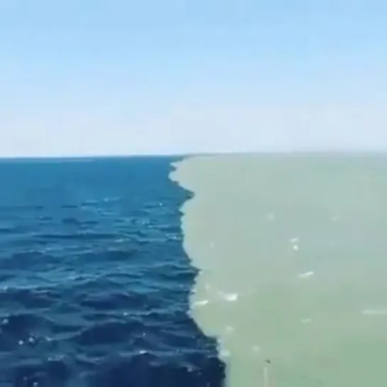 One of the mysterious places on earth where the waters of two oceans do not mix.