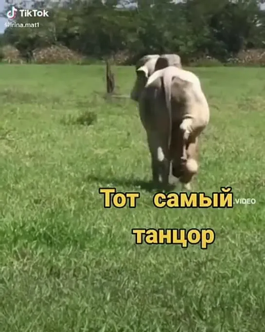 тот самый танцор)