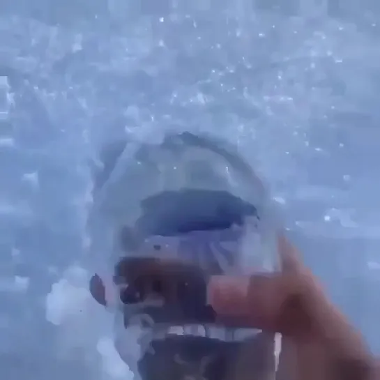 Frozen jellyfish