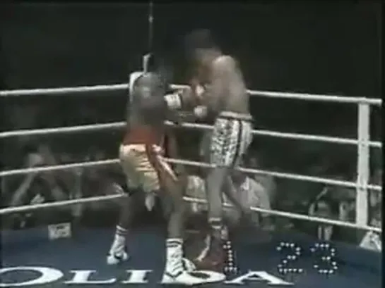 Julio Cesar Chavez vs. Rocky Lockridge [1_5]