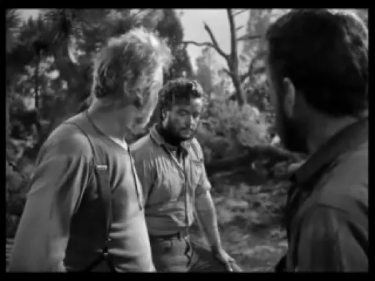 Сокровища Сьерра Мадре / The Treasure of the Sierra Madre (1948)