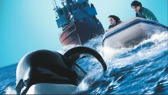 Освободите Вилли 3 Спасение  Free Willy 3 The Rescue  1997