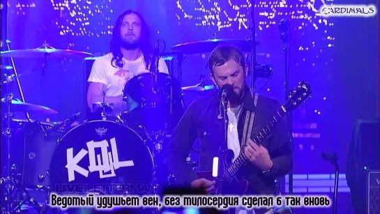 Kings Of Leon - Closer (рус. суб.)