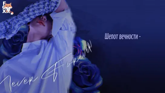 [FSG FOX] Taemin - Never Forever |рус.саб|