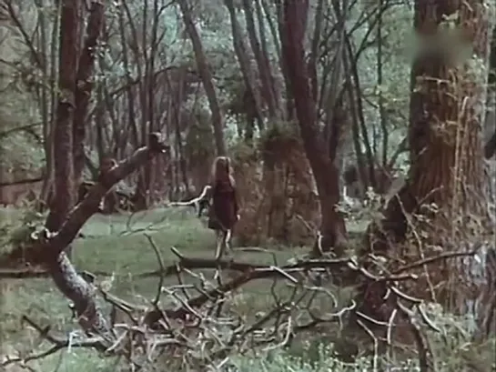 Поехал поезд в Бульзибар.  1986