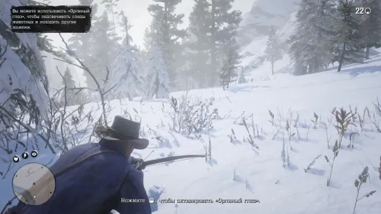 Red Dead Redemption 2. Колтер