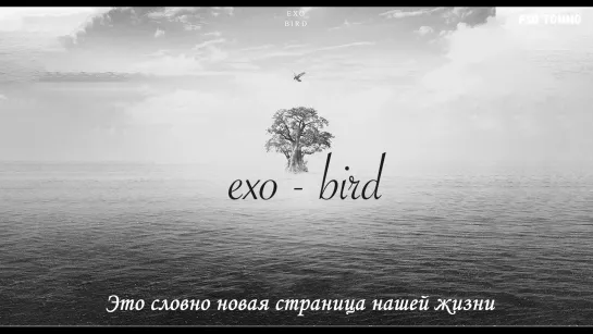 [рус.саб] EXO - Bird | FSG TOMMO