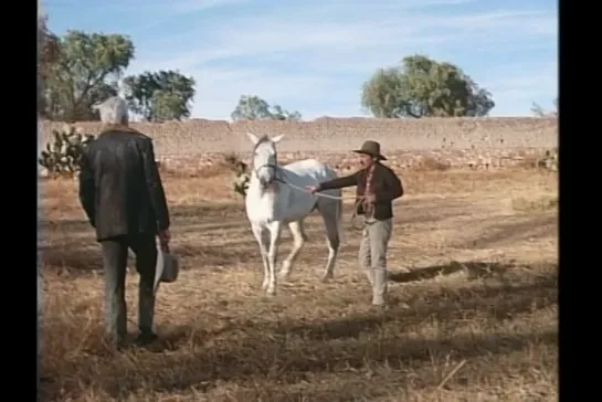 Mi querido Tom Mix (1991)  Carlos Garcia Agraz.