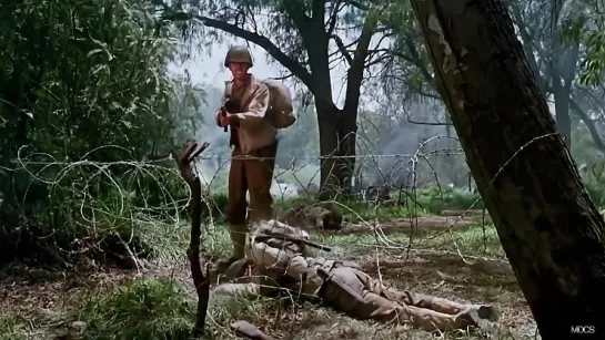 La bestia acorralada (1974)