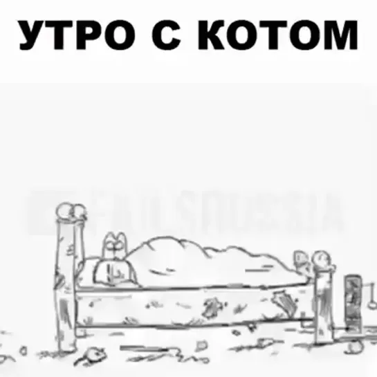 [MORTAN] Утро с котом.