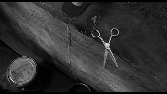 Невероятно худеющий человек / The Incredible Shrinking Man (1957) Арнольд