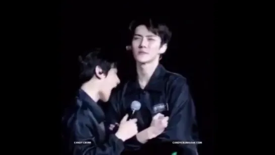 160312 EXO PLANET #2 Malaysia – The EXO’luXion - Baekhyun🐶 biting Sehun