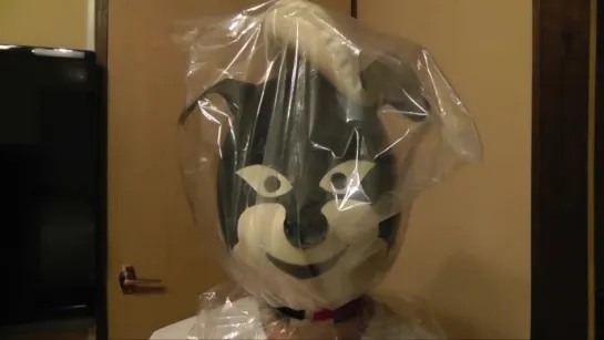 Plastic bag on the Inflatable latex mask Skunk