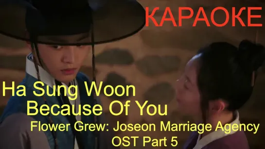 [Rus sub] HA SUNG WOON -  Because Of You (Flower Crew: Joseon Marriage Agency OST Part 5) [MV]