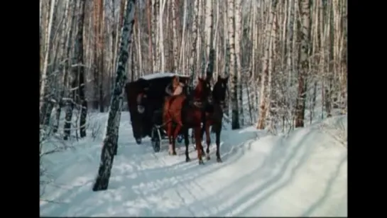 Виват, гардемарины! (1991)