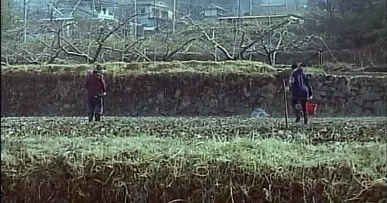 Одинокая корова плачет на рассвете / A Lonely Cow Weeps at Dawn / Chikan gifu: Musuko no yome to... (2003)