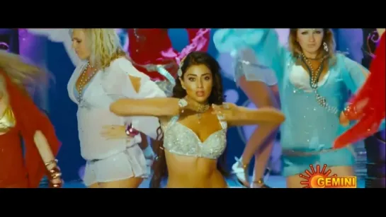 Shriya Saran / Hottest Item Song / Dochey - Komaram Puli