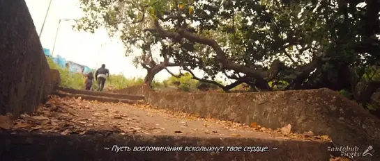 Сердце к сердцу / Heart Attack / 2014 / DVDRip