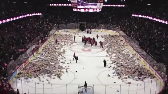 Watch 25,000 Bears Fly at Teddy Bear Toss - Calgary Hitmen 2012