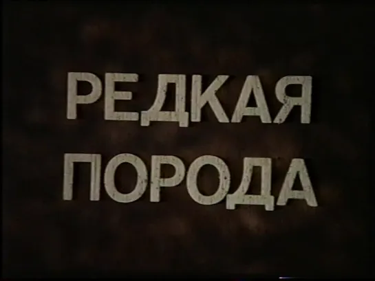 Редкая порода (США, 1984) боевик, Рутгер Хауэр, Кэтлин Тернер, дубляж, советская прокатная копия