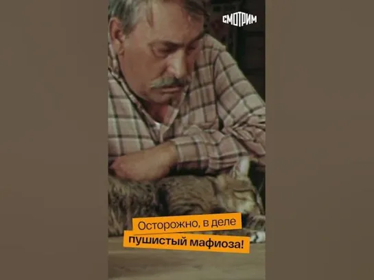 #shorts - СМОТРИМ! Осторожно, в деле пушистый мафиоза // "Повод" 1986 #shorts