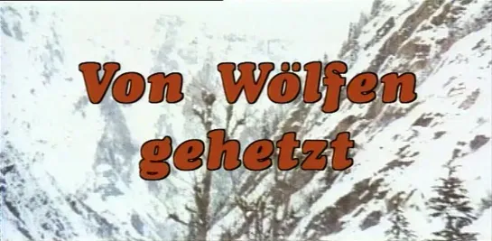 Белый Клык и одинокий охотник / Zanna Bianca e il cacciatore solitario 1975