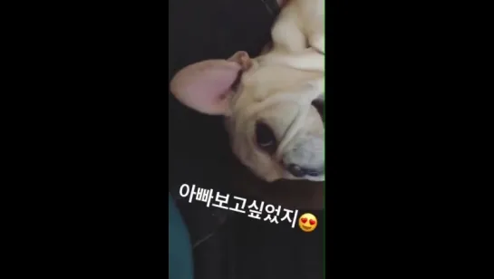 170605 rravii0215 Instagram Story Update