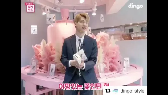 170520 dingo_style Instagram Update "꽃인턴"