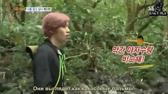 [Индийский океан] Law of the Jungle 118/ Закон Джунглей 118 эп.