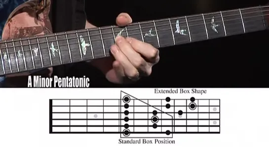 03_-_The_Minor_Pentatonic_Scale_-_Troy_Stetina