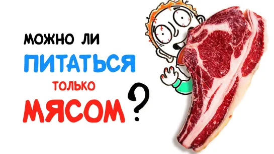 Можно ли питаться только мясом? [AsapSCIENCE]