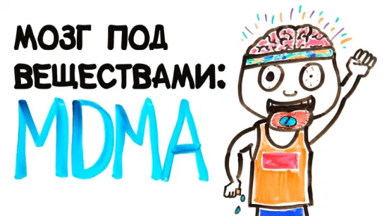 Мозг под веществами: MDMA [AsapSCIENCE]