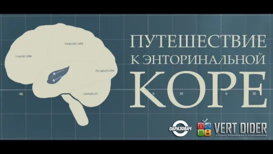 Нобелевская премия по физиологии и медицине 2014: Путешествие к энторинальной коре