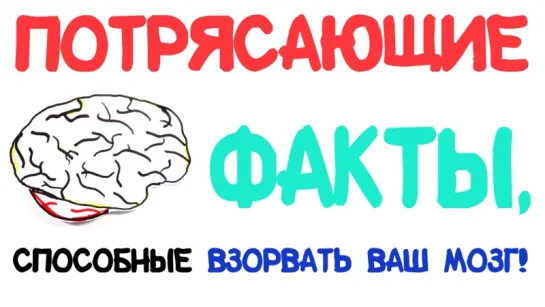 Потрясающие факты, способные взорвать ваш мозг! Часть 2 [AsapSCIENCE]